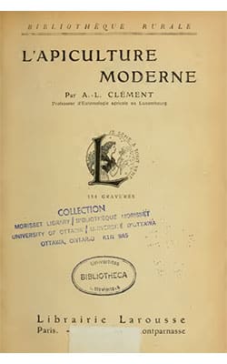 apiculture-moderne