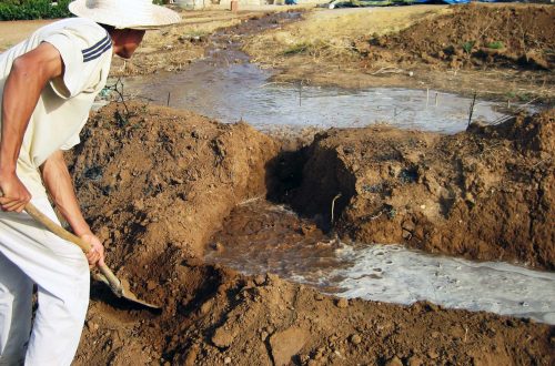 réalisation des premiers ouvrages de récupération de l'eau de ruissellement pluvial