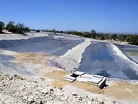 Un engagement évolutif en action